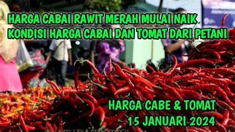 Harga Cabai Dan Tomat Hari Ini Januari Info Harga Cabai