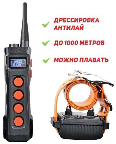 Профессиональный электронный ошейник для дрессировки собак AETERTEK АТ ...