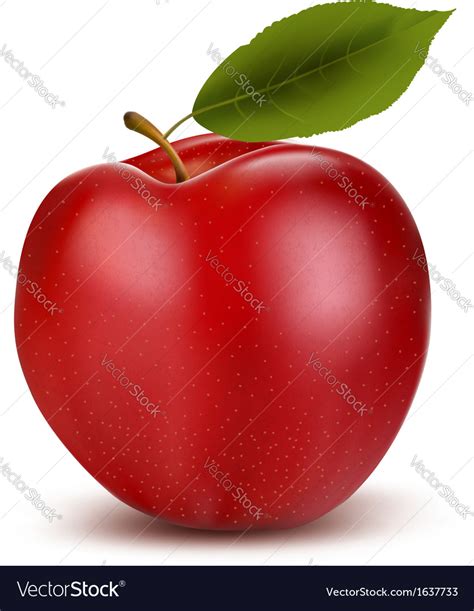 Set Of Red And Green Apple Fruits With Cut Vector Image