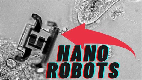 Smallest Robots Ever Made Micro Robotics Nanobots YouTube