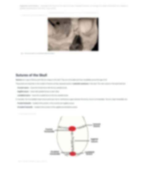 Solution Bones Of The Skull Structure Fractures Teachmeanatomy Studypool