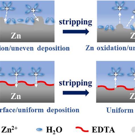 Schematic Illustrations Of Electrochemical Zn Plating Stripping Cycling