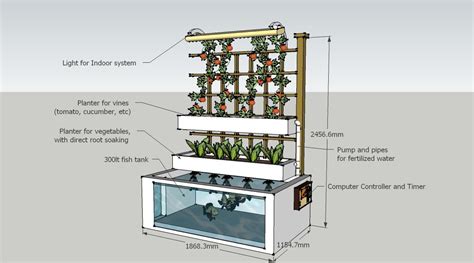 Advantages Of Aquaponic Farming For Organic Lovers Backyard