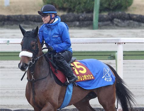 【桜花賞】ステレンボッシュ内面の成長大きい、田村助手「ギアチェンジもできるようになった」 3歳馬特集 競馬写真ニュース 日刊スポーツ