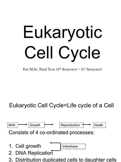 Eukaryotic Cell Cycle | Cell Cycle | Mitosis