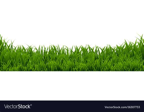 Grass border Royalty Free Vector Image - VectorStock