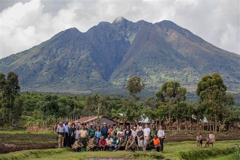 Kibale Lodge Experience Chimpanzee Trekking In Uganda Volcanoes Safaris