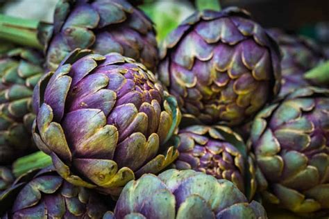 Artichoke Extract Nutrition Benefits And More Nutrition Realm