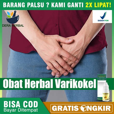 Jual Obat Varikokel Buah Zakar Bengkak Nyeri Testis Nyeri Buah Zakar