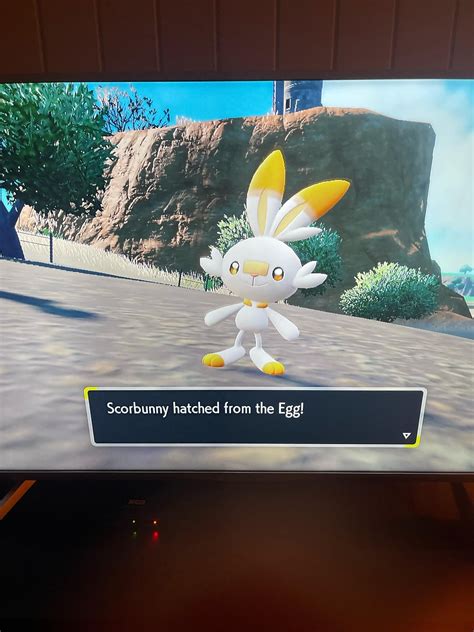 [9] 10th egg hatched using MM! Shiny Scorbunny! : r/ShinyPokemon