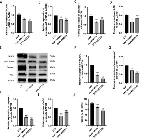 MCC950 Treatment And BMSC Transplantation Inhibited NLRP3 Inflammasome