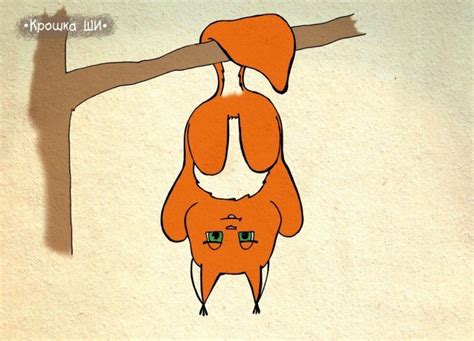 Белка Крошка ШИ "зависла"