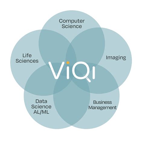 viqi