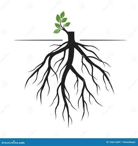 Tree Roots And Germinate Limb Roots Of Plants Vector Illustration