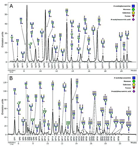 Representative Chromatograms Of Hilic Uplc Flr Profiled N Glycans A Download Scientific