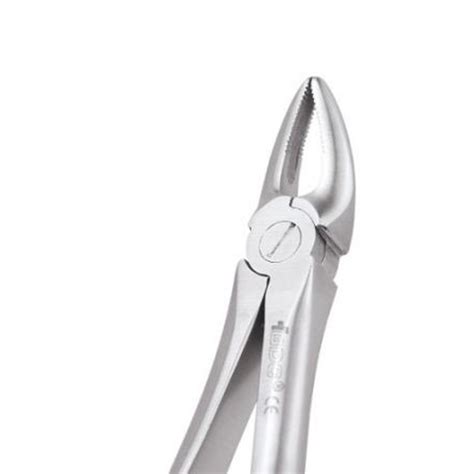 Buy Gdc Extraction Forceps Upper Roots 30 Standard Fx30s Online At