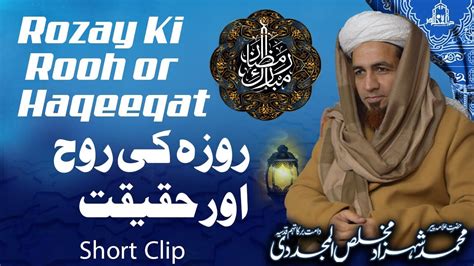 Rozay Ki Rooh Or Haqeeqat Short Clip Mah E Ramadan Allama Shahzad