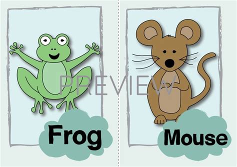 Frog and Mouse Flashcard | Gru Languages