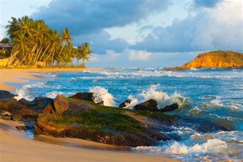 Ondas De La Playa De Mirissa Que Rompen La Isla De La Roca Tropical