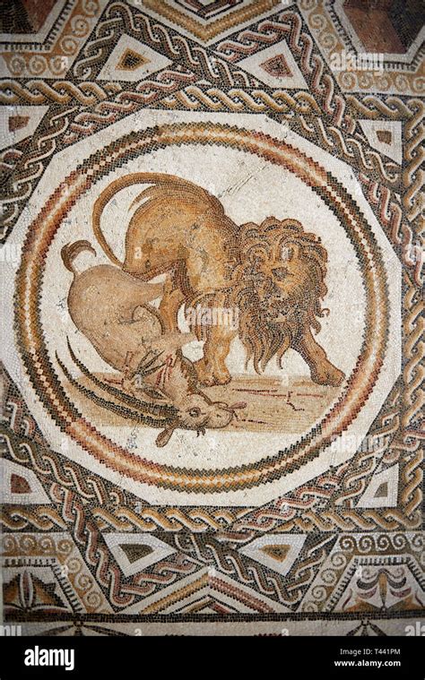 Picture of a geometric Roman mosaics design depicting lions hunting ...