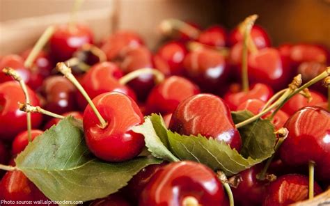 sour cherries – Just Fun Facts