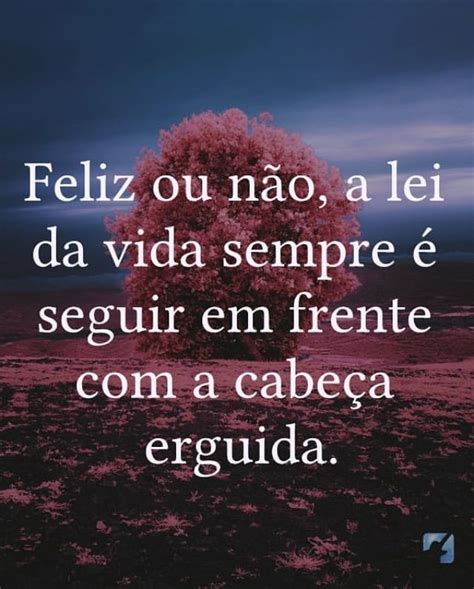 Pin De Francielly Ribeiro Em Imagens Frases De Carinho Mensagem De