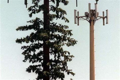 Suit Seeks Moratorium On New Cellphone Towers At Lake Tahoe Los Angeles Times