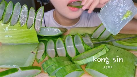 사각 끈적 알로에 먹방 Asmr Aloe Vera Eating Sounds Mukbang ว่านหางจระเข้ アロエ 芦荟