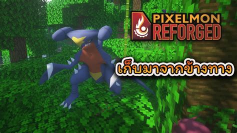 ฉลามดน XANNOZ PIXELMON EP1 YouTube