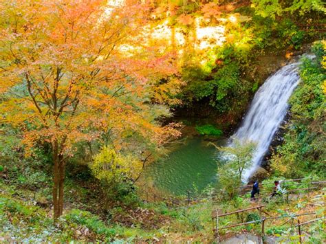 秋旅！紅葉や温泉、絶景など秋に行くべき東日本の名所20選 トラベルマガジン