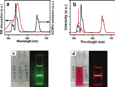 A Spectral Overlap Between The Upconversion Emission Spectrum Of The