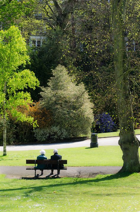 People In The Park Free Stock Photo Public Domain Pictures