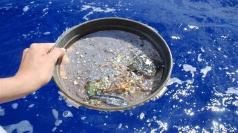 NASA Satellite Data Helps Track Ocean Microplastics From Space India TV