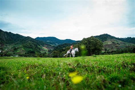 Visita Tierras Altas Panam Volc N Bar Y Fincas De Caf