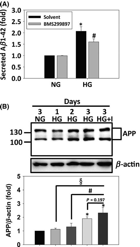 Effects Of Hg On Secretion Of A And Expression Of Full Length App