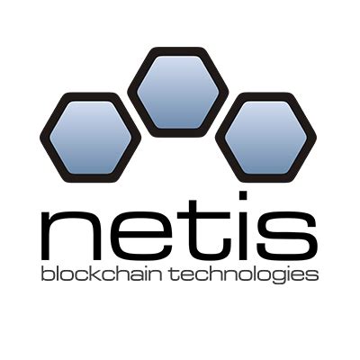 Netis Group – Medium