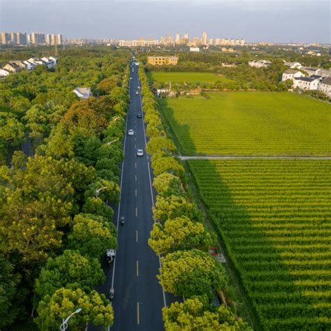 一路好风景！奉贤这些地方入选上海“四好农村路”示范镇、示范路名单啦乡村道路海湾镇