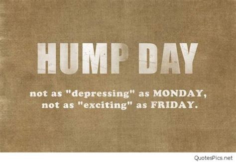 Happy Hump Day Meme Wednesday Quotes Images To Rejuvenate In Middle Of