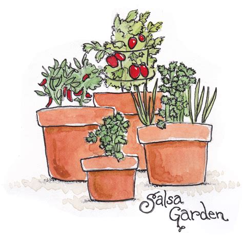Fastest Growing Vegetables – Sandia Seed Company