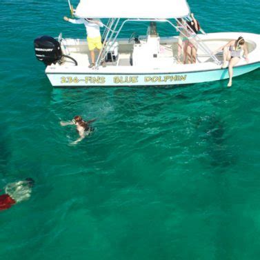 Panama City Beach Snorkeling Tours, Boat Rentals | Shell Island Tours & Dolphin Tours