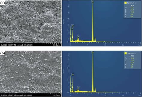 Sem Images And Edx Spectra Of The Mild Steel Surfaces After H