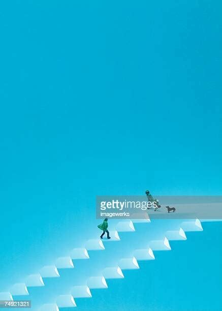 107 Dog Going Down Stairs Stock Photos, High-Res Pictures, and Images ...