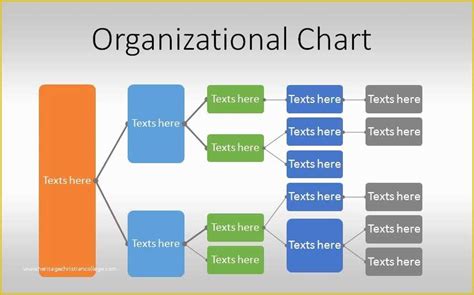 Microsoft organizational Chart Template Free Of 40 organizational Chart ...