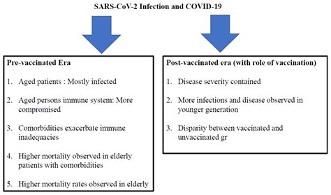 Cellular and Molecular Mechanisms of Pathogenic and Protective Immune