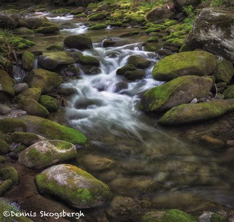 Top Pictures Cascade Springs Nature Preserve Photos Stunning