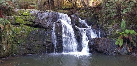 Lilydale, Tasmania