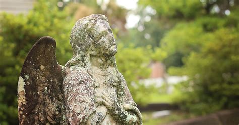 A Local's Guide to Laurel Grove Cemetery - Savannah First-Timer's Guide