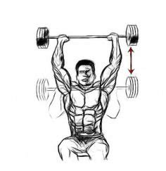 8 Trapezius Workout ideas | trapezius workout, workout, shoulder workout