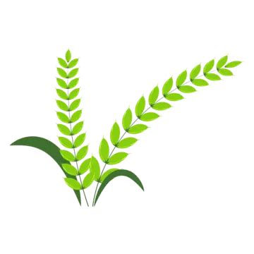 Wheat Logo PNG Transparent, Wheat Logo, Vector, Golden, Simple PNG ...