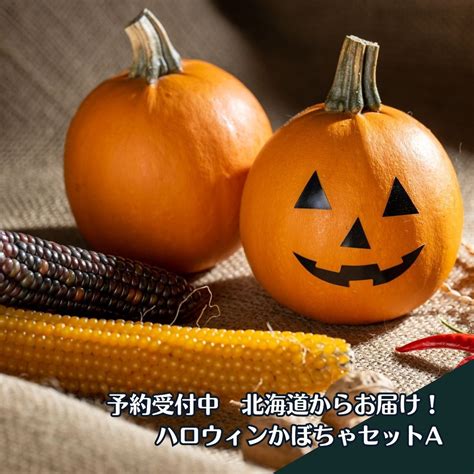 北海道からお届け！ハロウィンかぼちゃセットaかぼちゃ2個入り 北海道新鮮マルシェ